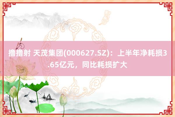撸撸射 天茂集团(000627.SZ)：上半年净耗损3.65亿元，同比耗损扩大