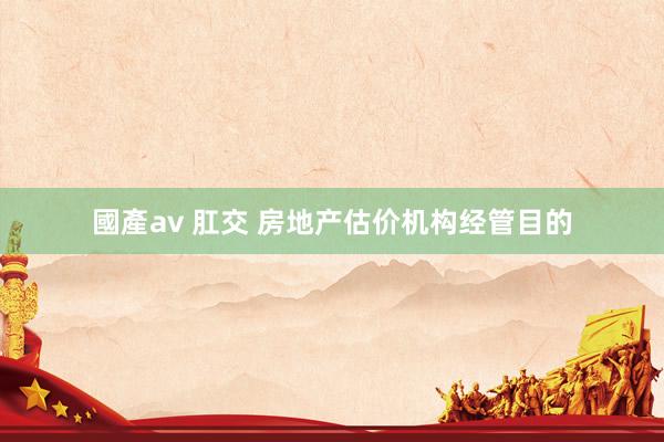 國產av 肛交 房地产估价机构经管目的