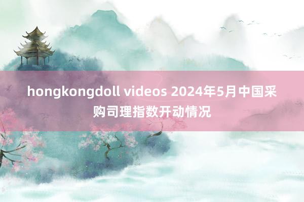 hongkongdoll videos 2024年5月中国采购司理指数开动情况