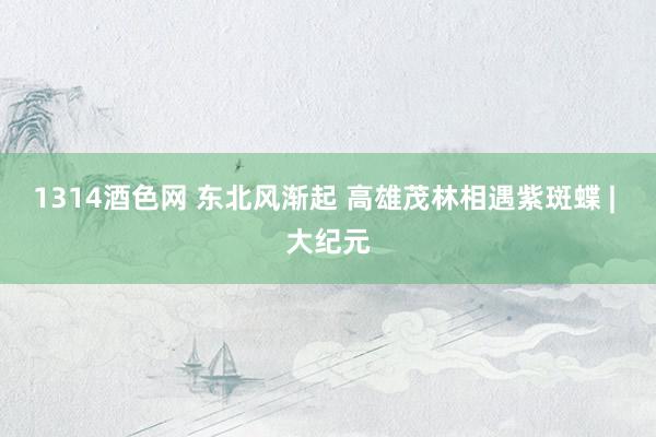 1314酒色网 东北风渐起 高雄茂林相遇紫斑蝶 | 大纪元