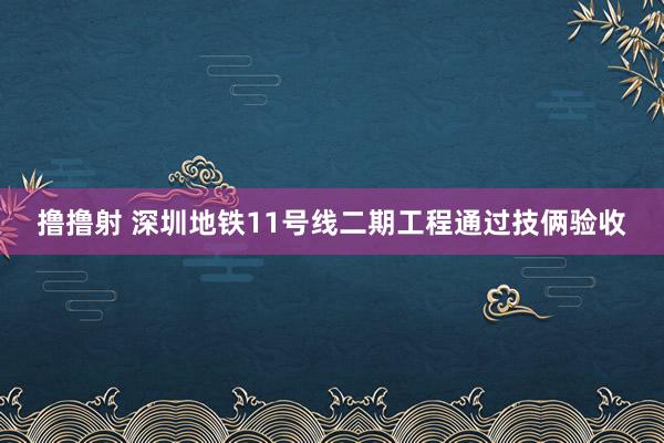 撸撸射 深圳地铁11号线二期工程通过技俩验收