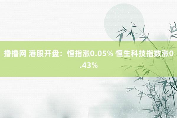 撸撸网 港股开盘：恒指涨0.05% 恒生科技指数涨0.43%