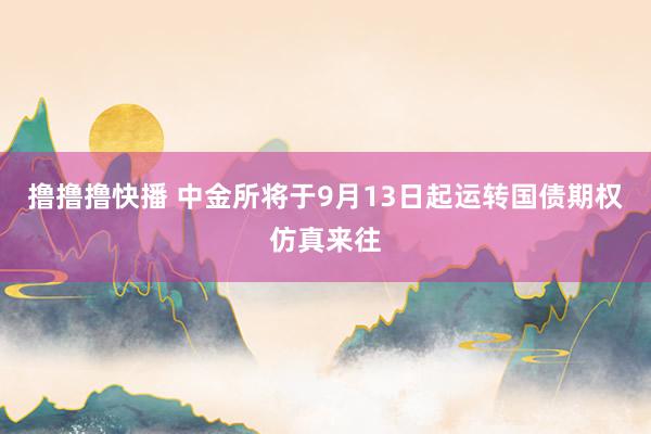撸撸撸快播 中金所将于9月13日起运转国债期权仿真来往