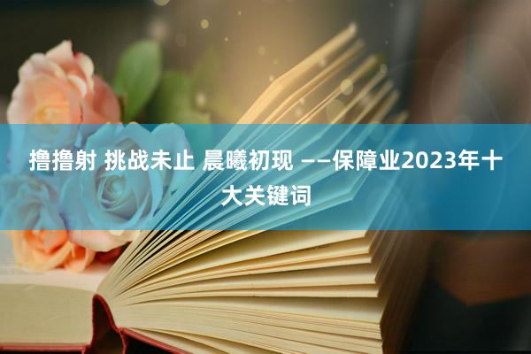 撸撸射 挑战未止 晨曦初现 ——保障业2023年十大关键词