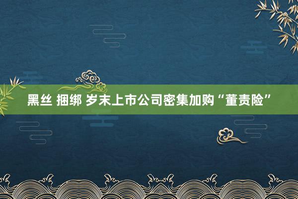 黑丝 捆绑 岁末上市公司密集加购“董责险”