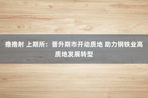 撸撸射 上期所：晋升期市开动质地 助力钢铁业高质地发展转型