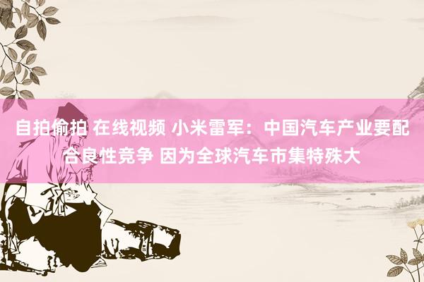 自拍偷拍 在线视频 小米雷军：中国汽车产业要配合良性竞争 因为全球汽车市集特殊大