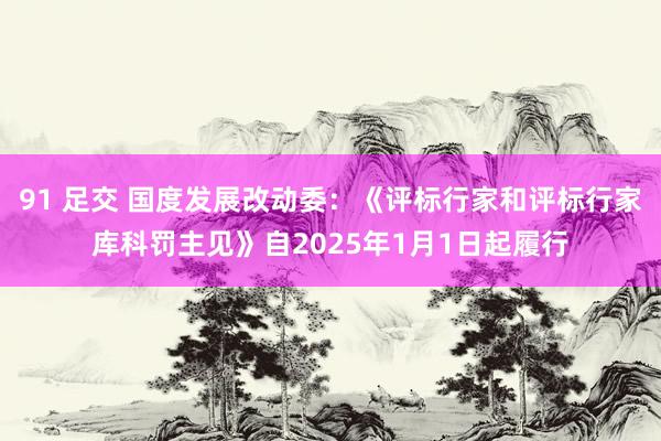 91 足交 国度发展改动委：《评标行家和评标行家库科罚主见》自2025年1月1日起履行
