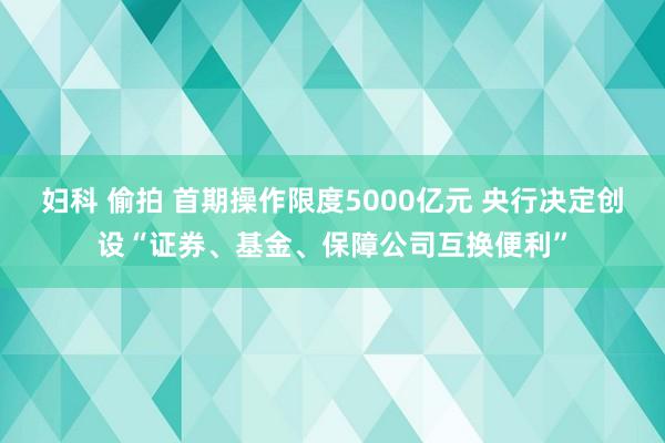 妇科 偷拍 首期操作限度5000亿元 央行决定创设“证券、基金、保障公司互换便利”