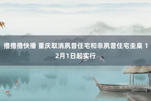 撸撸撸快播 重庆取消夙昔住宅和非夙昔住宅圭臬 12月1日起实行
