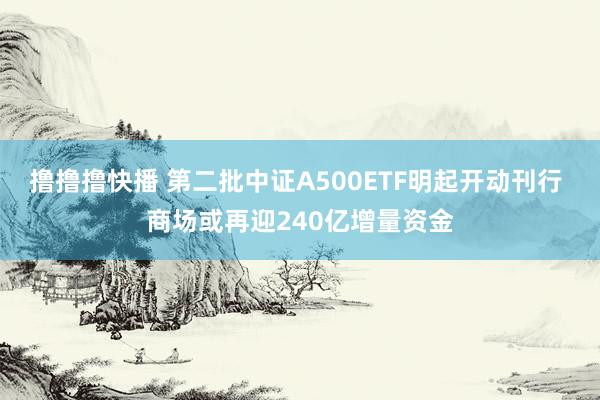撸撸撸快播 第二批中证A500ETF明起开动刊行 商场或再迎240亿增量资金