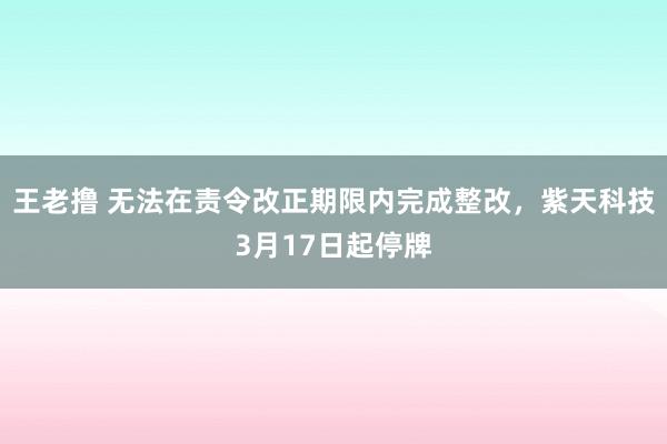 王老撸 无法在责令改正期限内完成整改，紫天科技3月17日起停牌