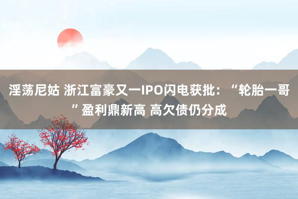 淫荡尼姑 浙江富豪又一IPO闪电获批：“轮胎一哥”盈利鼎新高 高欠债仍分成
