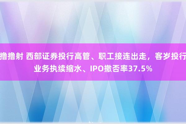 撸撸射 西部证券投行高管、职工接连出走，客岁投行业务执续缩水、IPO撤否率37.5%