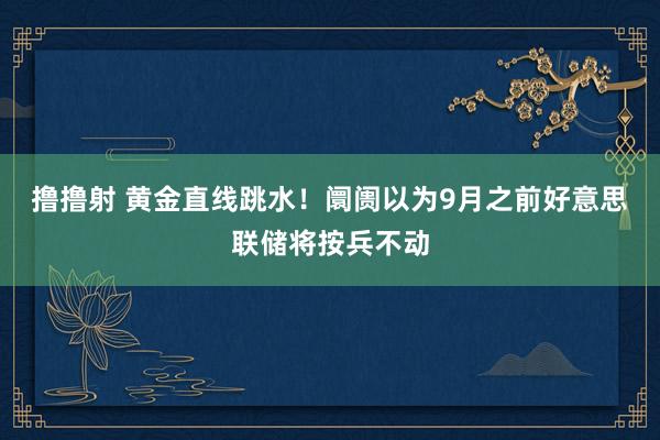 撸撸射 黄金直线跳水！阛阓以为9月之前好意思联储将按兵不动