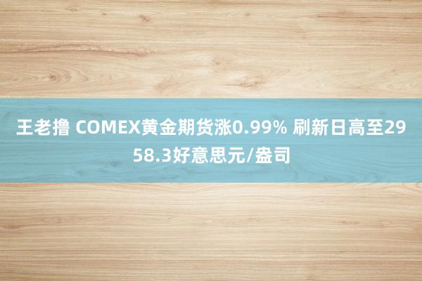 王老撸 COMEX黄金期货涨0.99% 刷新日高至2958.3好意思元/盎司