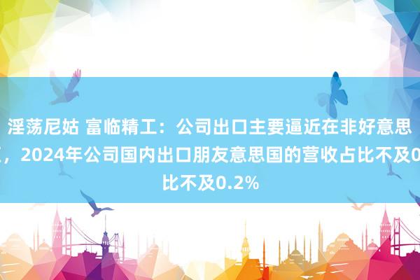 淫荡尼姑 富临精工：公司出口主要逼近在非好意思地区，2024年公司国内出口朋友意思国的营收占比不及0.2%