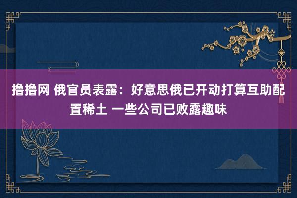 撸撸网 俄官员表露：好意思俄已开动打算互助配置稀土 一些公司已败露趣味